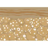 Komar Fotobehang Subsoil - Bruin - 2,80m X 400cm