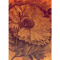 Overig Harvest Fotobehang - Meerkleurig - 2,80m X 200cm