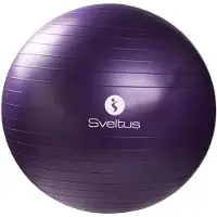 SVELTUS Gymball