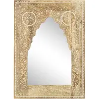 vidaXL Spiegel handgeschilderd 40x55 cm massief mangohout
