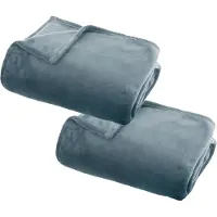 Atmosphera Plaid deken - 2x - ijsblauw - polyester - 125 x 150 cm - Bed/bankdeken - Fleece plaid - Lekker warm