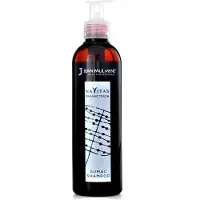 JEAN PAUL MYNè - Navitas Organic - Sumac Shampoo - 250 ml