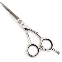 Kyone 480 College Line knip 5,5 inch Zilver 5,5inch
