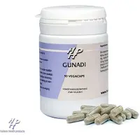Holisan Gunadi