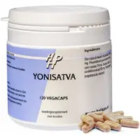 Ayurveda Shijalit plus