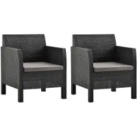 vidaXL Tuinstoelen 2 st met kussens PP rattan antracietkleurig