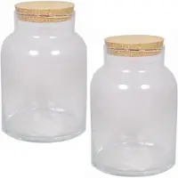 Floran 2x Glazen terrarium vazen 11 liter met kurk deksel 21 x 31 cm - Voorraadpot
