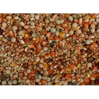 Uniestar Sport Rood Extra 20 kg