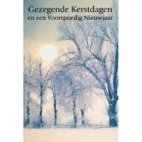 Benza Dubbele Religieuze Kerstkaarten 2 - 6 stuks