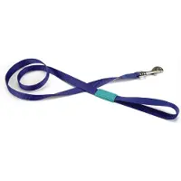Beeztees BZ NYLON RIEM UNI BLAUW 120X1 (Hond, Algemeen)