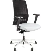 Linea Omnia 01 - Bureaustoel - Ergonomisch EN1335 - Multi verstelbaar- Zwart/Grijs