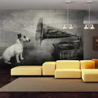 Artgeist Fotobehang – Behangpapier - Fotobehang - Dog's melodies 400x309 -