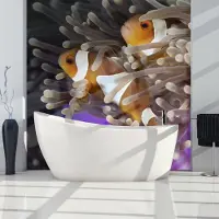 Artgeist Fotobehang – Behangpapier - Fotobehang - Clownfish 250x193 -