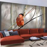 Artgeist Fotobehang - Bullfinch in the forest