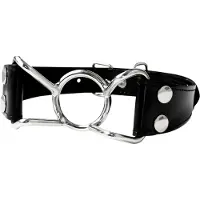 Kiotos Luxe Spider Mouth Gag - Zilver