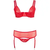 Cottelli Plus Size - veelzijdige lingerieset duo (rood) - 90E/XL