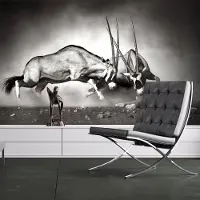 Artgeist Fotobehang - Gemsbok strijd