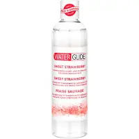 Waterglide - glijmiddel vanille 300 ml - 300ml