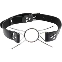 Fetish Fantasy - Extreme Open Mond Spider Gag