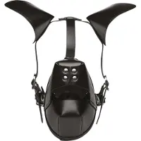 Master Series Puppy Play Masker Met Ballgag - Zwart