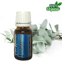 Pure Naturals Eucalyptus etherische Olie 10 ml | Eucalyptus Oil | 100% PUUR | Bio | Essentiële olie Aromatherapie | Olie diffuser |