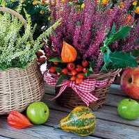 Ambiente - Heather Baskets - Papieren lunch servetten - 2 pakken - 33x33cm - Herfst