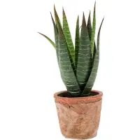 Emerald Kunstplant Aloe Vera - groen - in oude terracotta pot - 23 cm - Kunstplanten