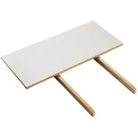 FDB Møbler C35 inlegblad 82x37 cm light grey-oak nature lacquered