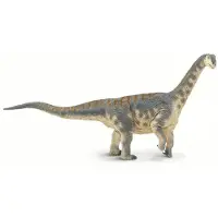 Safari Ltd Camarasaurus Figure Bruin From 3 Years Kinderen