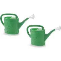 Forte Plastics 2x stuks groene tuin planten gieter met broeskop 6 liter - Gieters