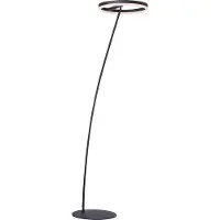 Paul Neuhaus Antraciete vloerlamp Titus modern