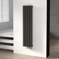Maxaro Neptune Designradiator | 29,7x120 cm Donkergrijs 1176 Watt Aluminium Centrale verwarming