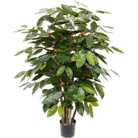 Maxifleur Kunstplanten Coffee Arabica kunstplant 100cm