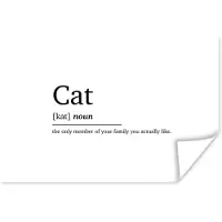 PosterMonkey Poster Cat - Spreuken - Quotes - Kat definitie - Woordenboek - 90x60 cm