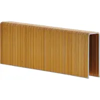 Spit NIET S16X32 C-PUNT VERZINKT 3MU+GAS- 3000 ST