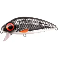 Spro Iris Flanky 90 Herring