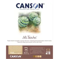 Canson tekenpapier Mi-Teintes, in een blok, 240 x 320 mm