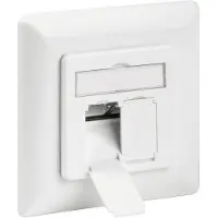 Pro Wandcontactdoos CAT6A inbouw afgeschermd 2 x RJ45 Wit