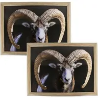 Mars & More 2x stuks schootkussens/laptrays ram/schaap print 33 x 43 cm - Dienbladen