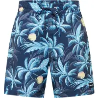 Hurley Cannonball Volley 17´´ Zwembroek