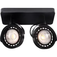 Zuiver 2-lichts spotlamp Dice | metaal zwart 43x31x19 cm spots | NADUVI