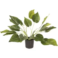 Clayre & Eef Decoratie Kamerplant 46 Cm Groen Kunststof / Foam Plant 5pl0025