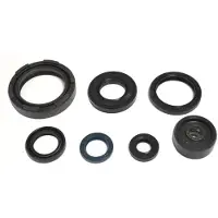 Athena Radiale dichtringenset, motor P400485400254