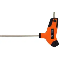 Skandia T-greep Torx inbussleutel TX20