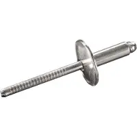 Goebel - 250 x Blindklinknagels (Ø x L) 4,8 x 20,5 mm - RVS A2 / RVS A2 - Grote kop - STANDARD - 7035148205 - Popnagel