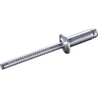 Goebel - 1000 x Blindklinknagels (Ø x L) 4 x 6 mm - RVS A2 / RVS A2 - Vlakke kop - STANDARD - 7030140600 - ISO15983 - Popnagel