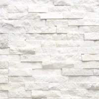 Maxaro Steenstrips Brick White Star 15x60cm Natuursteen Wit Glans 20mm Dik | Wandtegels Badkamer | Witte Wandtegels Badkamer | Badkamer Wandtegels Kopen