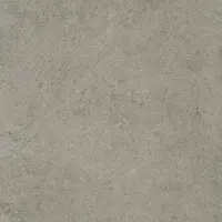Maxaro Pavera Gris Vloer-/Wandtegel 60x60 cm Grijs Natuursteenlook | Badkamer Vloertegels | Badkamertegels | Tegeloutlet