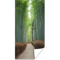 PosterMonkey Poster Bamboe - Pad - Bos - 40x80 cm