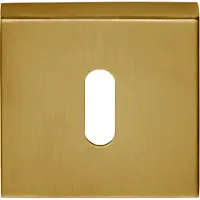 Formani Basics BSQN53 sleutelplaatje vierkant - PVD mat goud